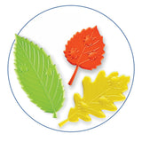 Sensory Leaves Math Activity Set