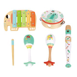 Music Instrument Set