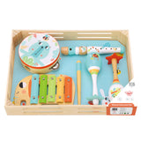 Music Instrument Set