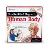 Learning Resources - Double Sided Magnetic Human Body Demonstration Set