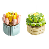 Succulent Pot Plants - Set Of 12 - 1051 Pieces