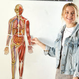 Learning Resources - Double Sided Magnetic Human Body Demonstration Set