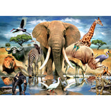 African Oasis 80pc Puzzle