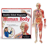Learning Resources - Double Sided Magnetic Human Body Demonstration Set