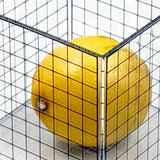 1L Cube 3D Grid Box Without Lid - Math Learning Manipulative