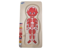 Human Layer Puzzle – Boy (5 pictures & 4 puzzles)
