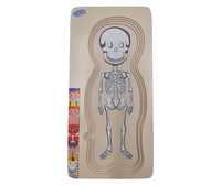 Human Layer Puzzle – Boy (5 pictures & 4 puzzles)