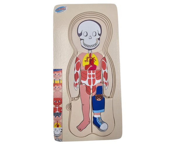 Human Layer Puzzle – Boy (5 pictures & 4 puzzles)