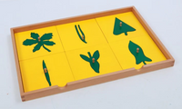 Botany Leaf Cabinet with 24 Insets