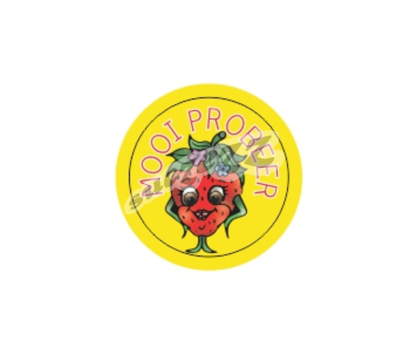 Stickers - Mooi Probeer 60pc