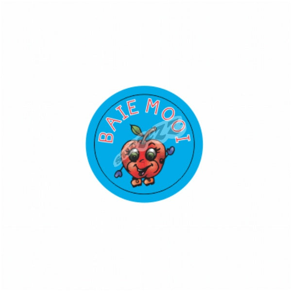 Stickers - Baie Mooi 60pc