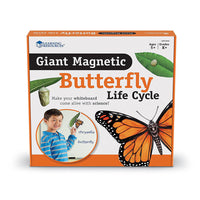 Magnetic butterfly life cycle