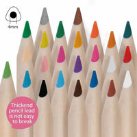 TookyToy Oil-Based Coloured Pencils & Pencil Sharpener: 24 Colours