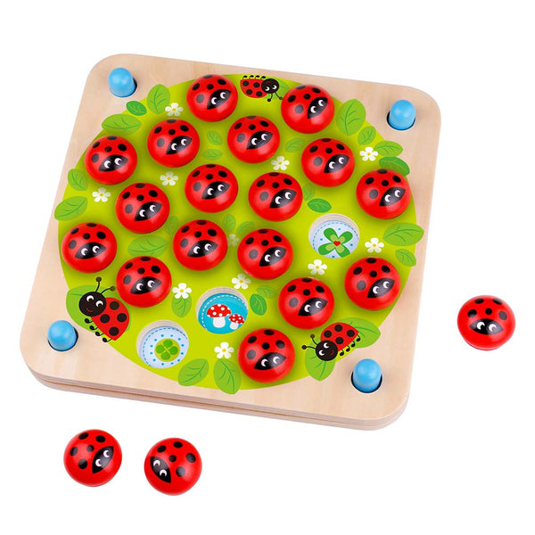 Memory Game - Ladybug