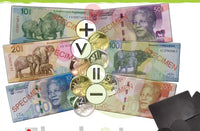Giant Magnetic Money (new version)