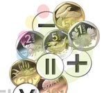 Giant Magnetic Money (new version)