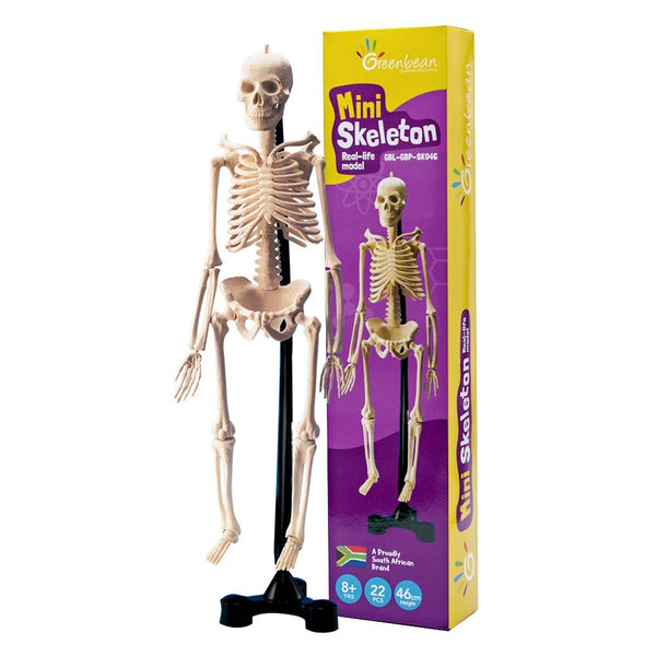 Mini skeleton