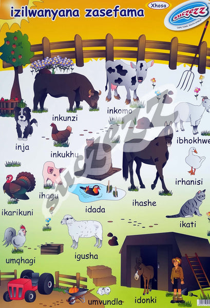 Chart- Farm Animals (Xhosa)
