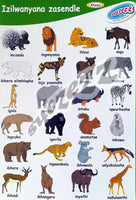 Chart- Wild Animals(Xhosa)