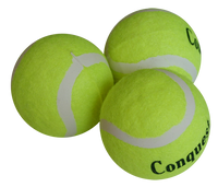 Tennis balls - pack of 6