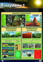 Chart -Ecosystems