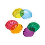 Transparent Tactile Shells - Large 6 Colours